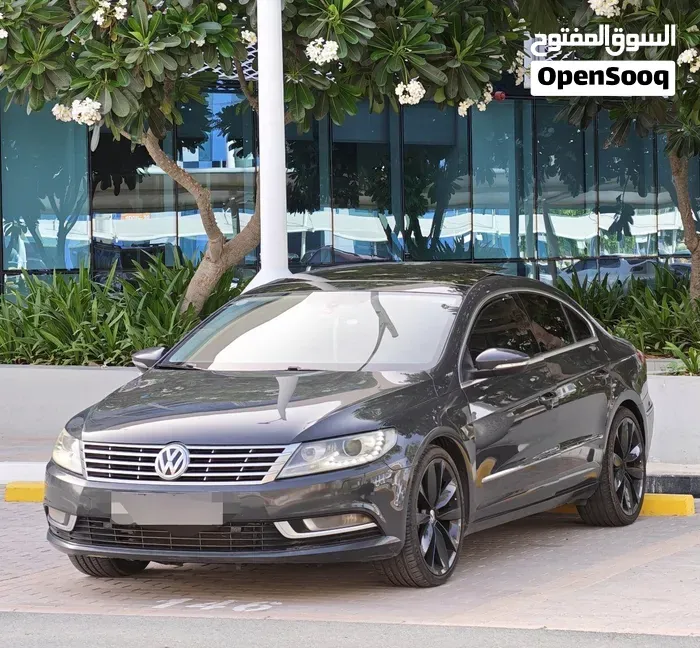 Volkswagen Passat 2013 photo 2
