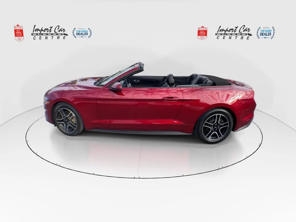 Ford Mustang 2019 photo 5