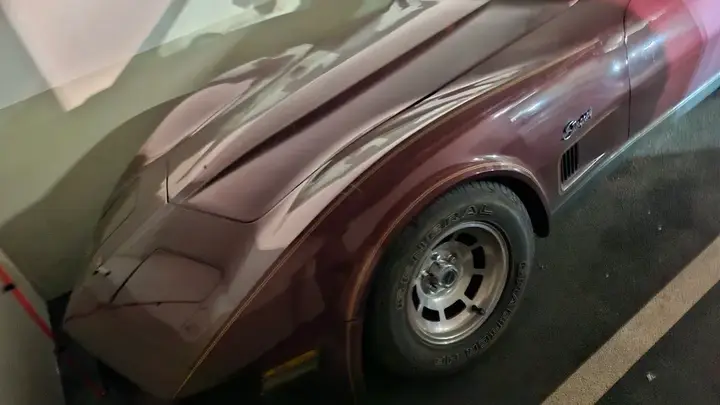 Chevrolet Corvette 1981 photo 3