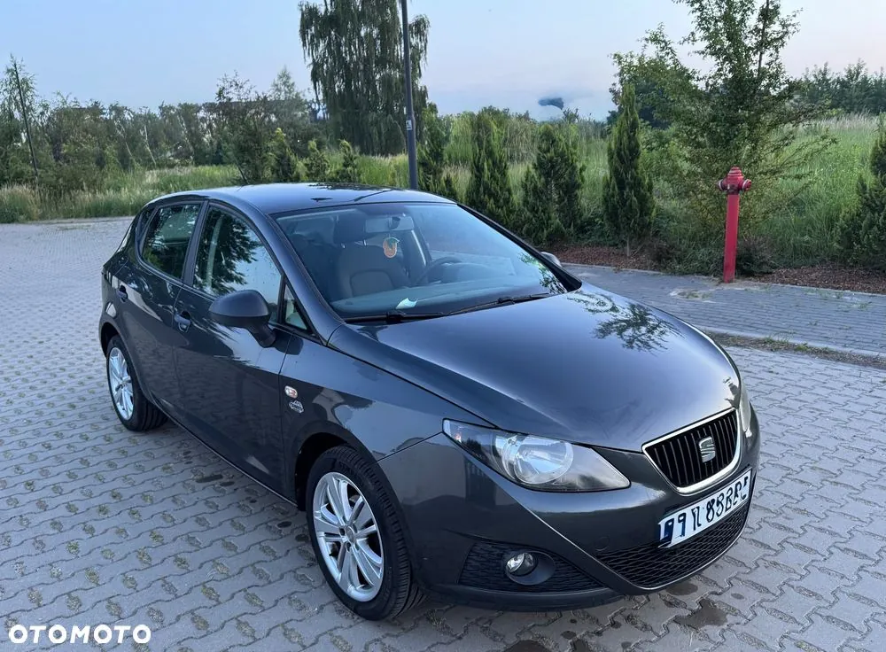 Seat Ibiza 2012 photo 2