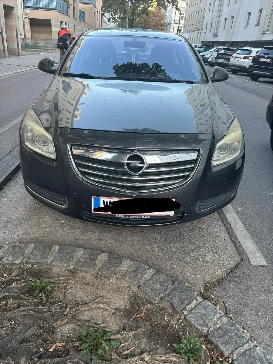 Opel Insignia 2008 photo 2