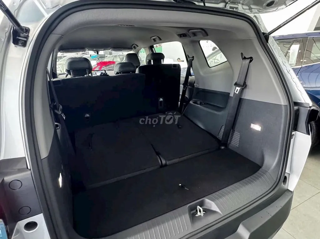 Vinfast Limo Green 2026 photo 5
