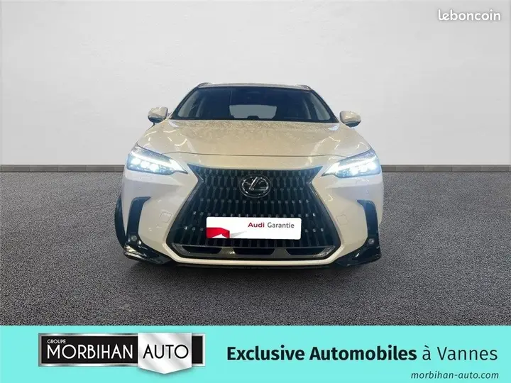 Lexus Nx 2024 photo 2