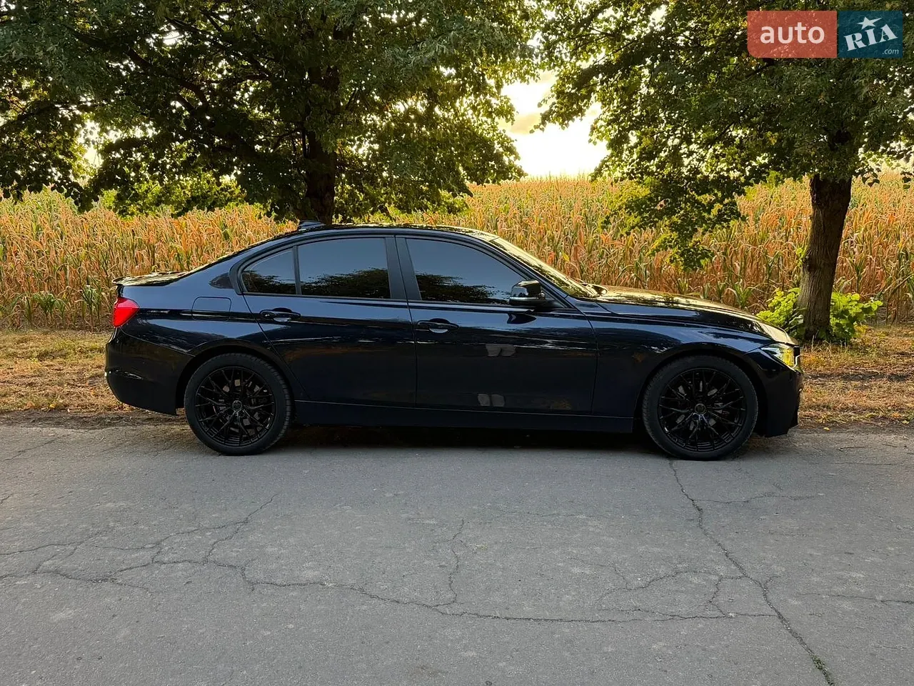 BMW 3 Series 2013 photo 5