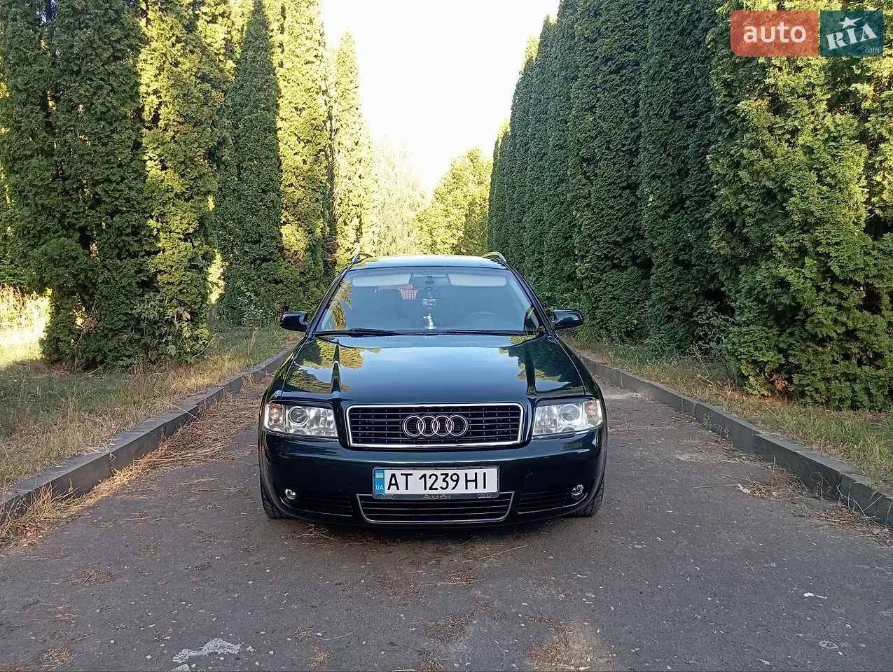 Audi A6 2003 photo 3