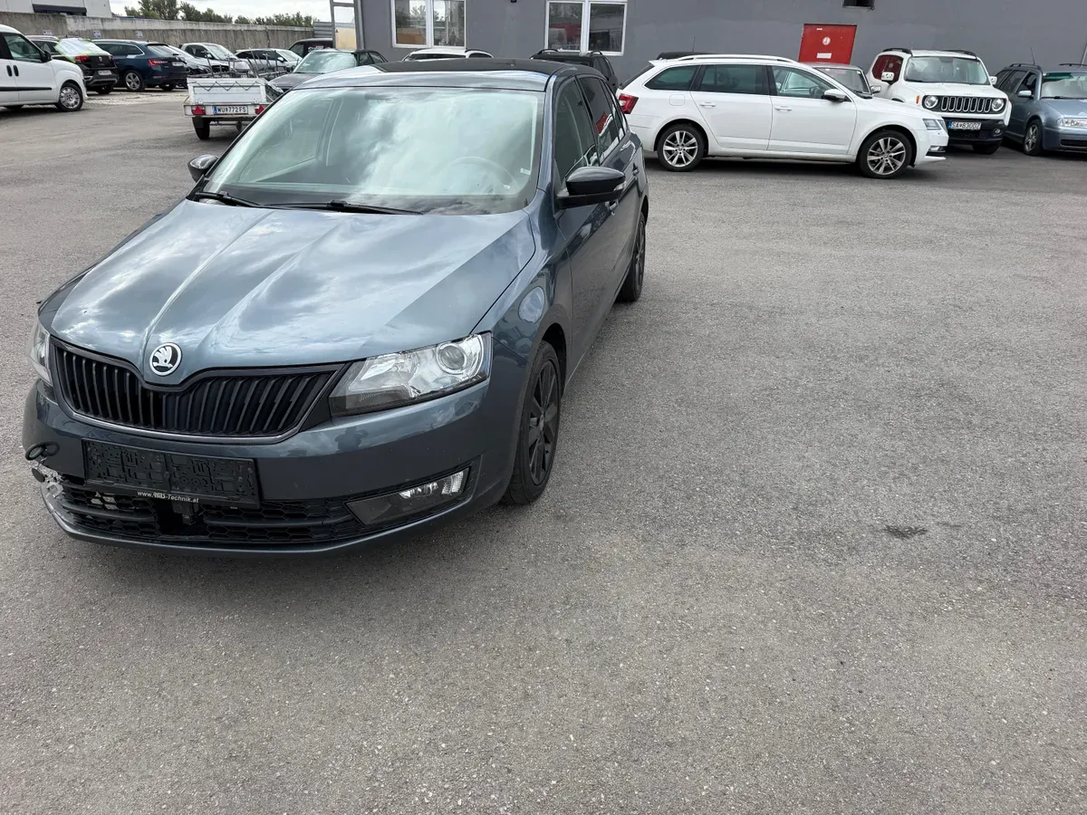 Skoda Rapid 2016 photo 3