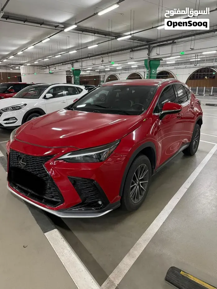 Lexus Nx 250 2023 photo 4