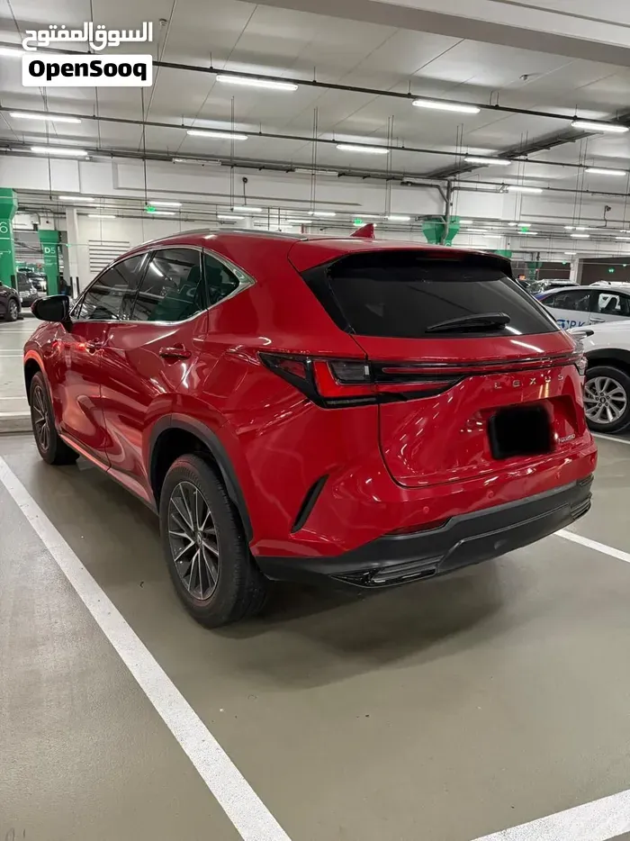 Lexus Nx 250 2023 photo 3