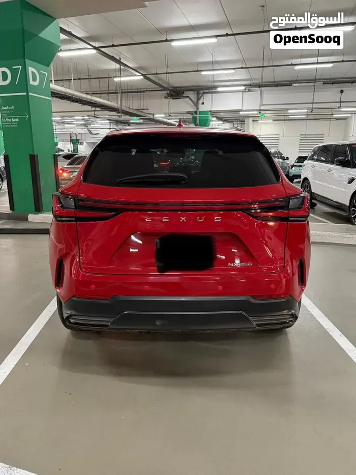 Lexus Nx 250 2023 photo 2