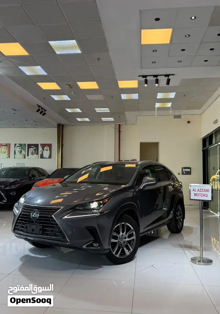 Lexus Nx 250 2023 photo 5
