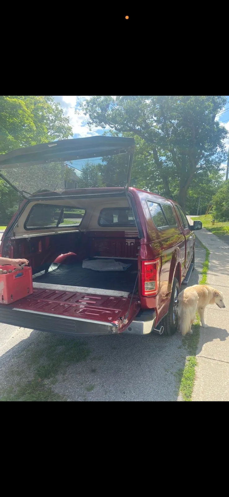 Ford F-150 2016 photo 2