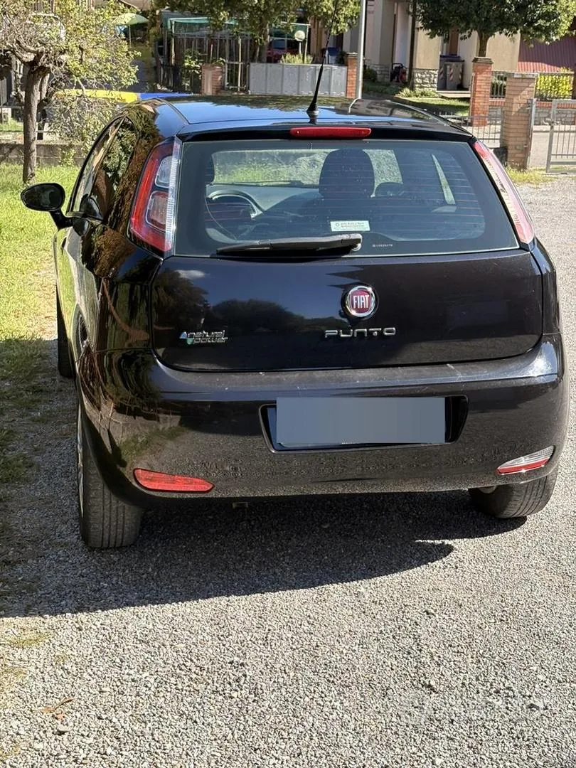 Fiat Punto 2013 photo 3