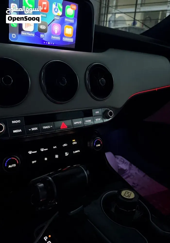 Kia Stinger 2020 photo 3