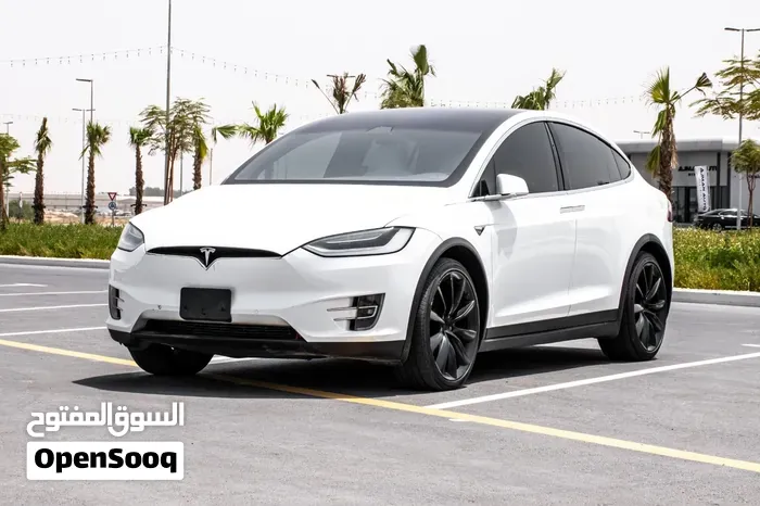 Tesla Model X 2020 photo 4