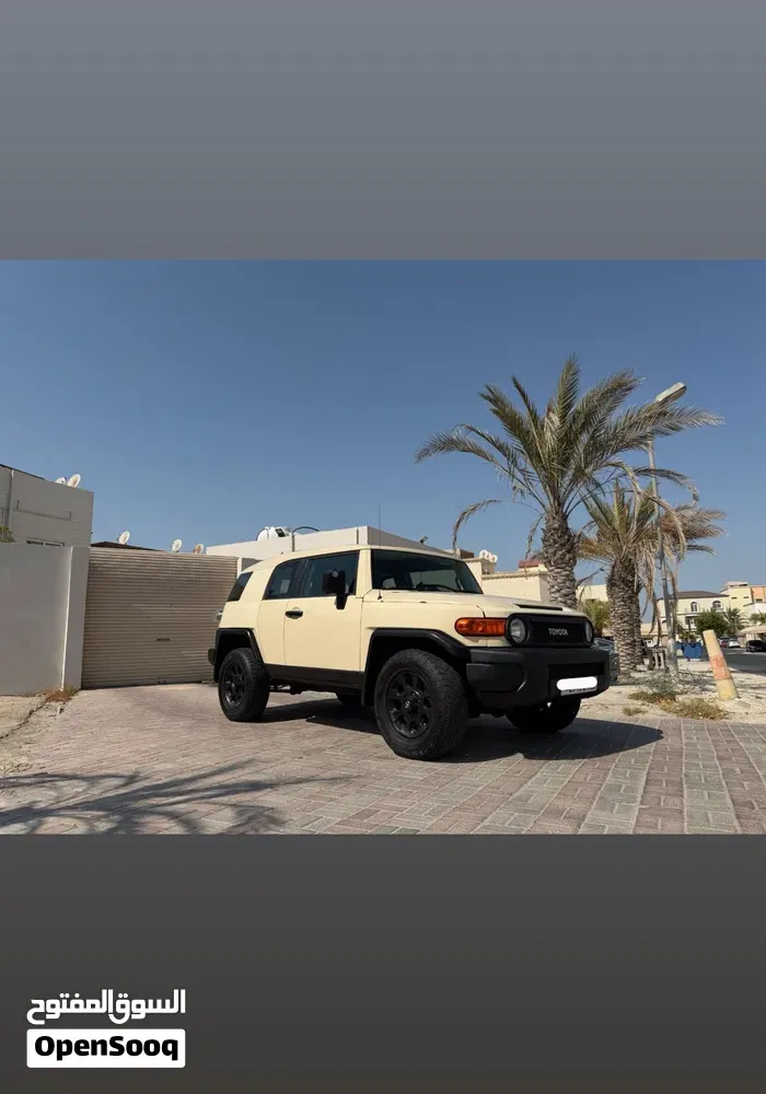 Toyota Fj 2008 photo 2