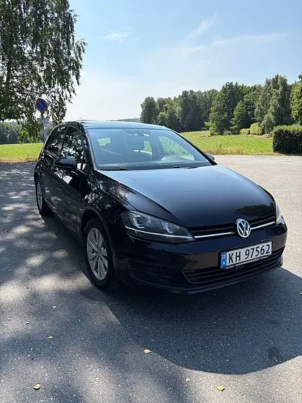 Volkswagen Golf 7 2014 photo 2