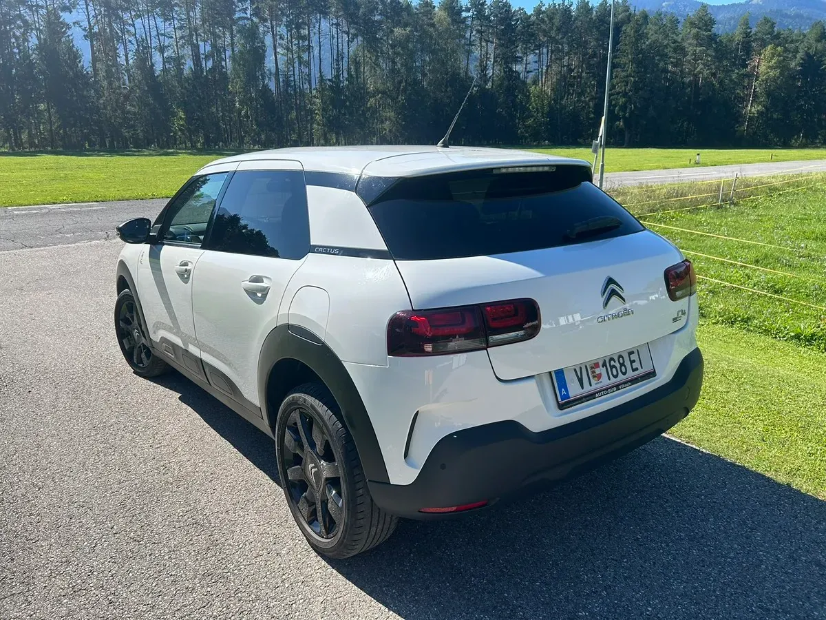 Citroen C4 Cactus 2019 photo 3
