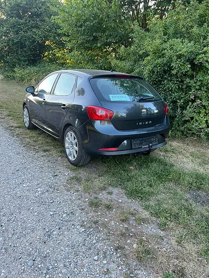 Seat Ibiza 2009 photo 4
