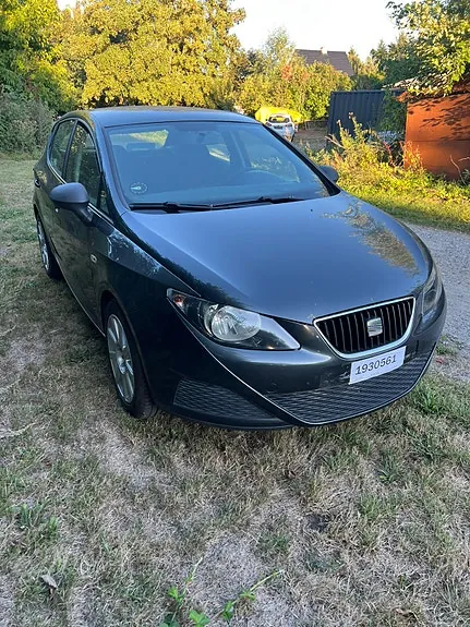 Seat Ibiza 2009 photo 2