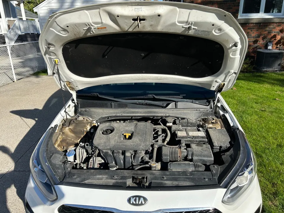 Kia Forte 2019 photo 5