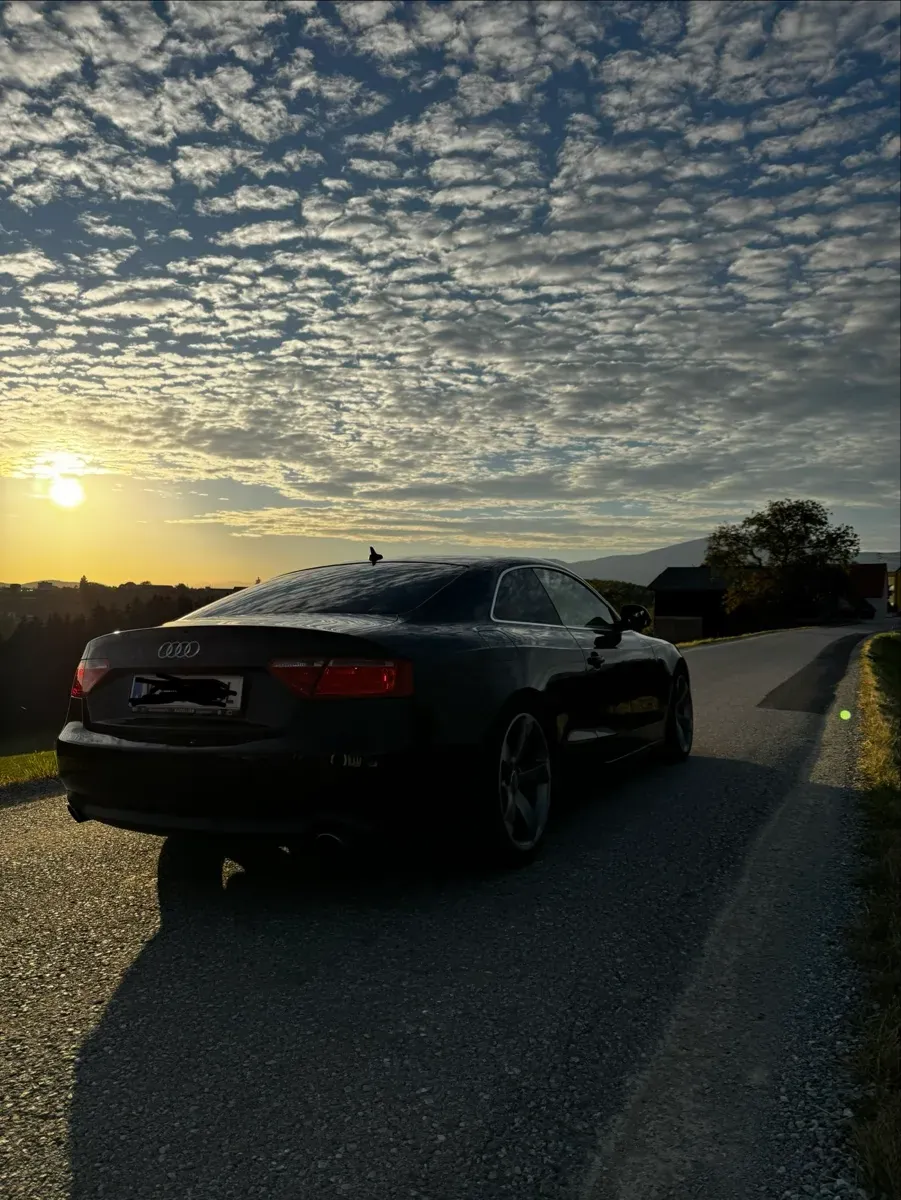 Audi A5 2008 photo 3