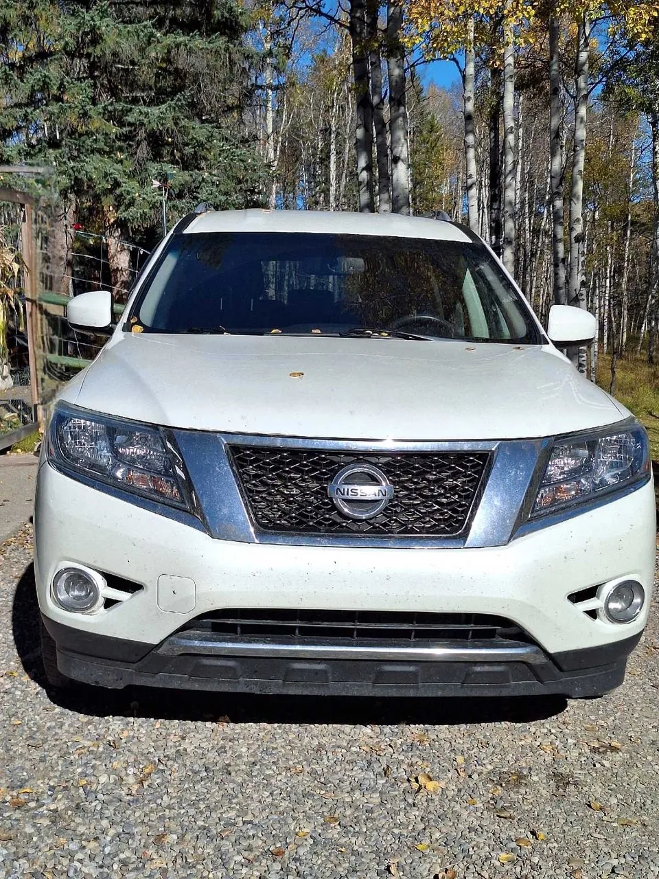 Nissan Pathfinder 2015 photo 2