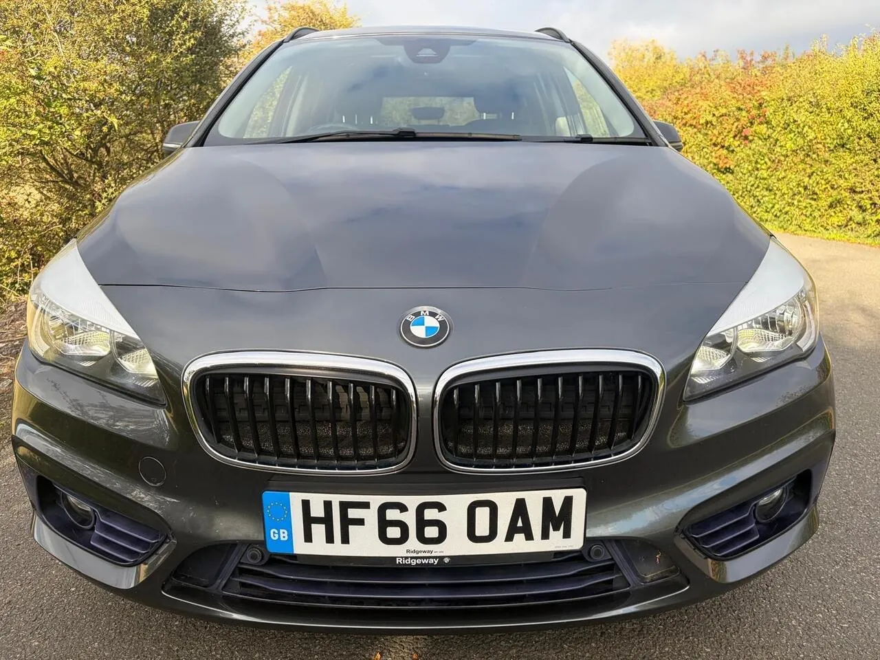 BMW 2 Series Gran Tourer 2016 photo 2