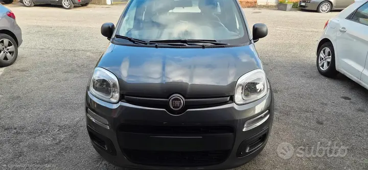 Fiat Panda 2017 photo 3