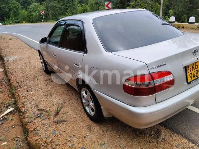 Toyota Corolla 1999 photo 3