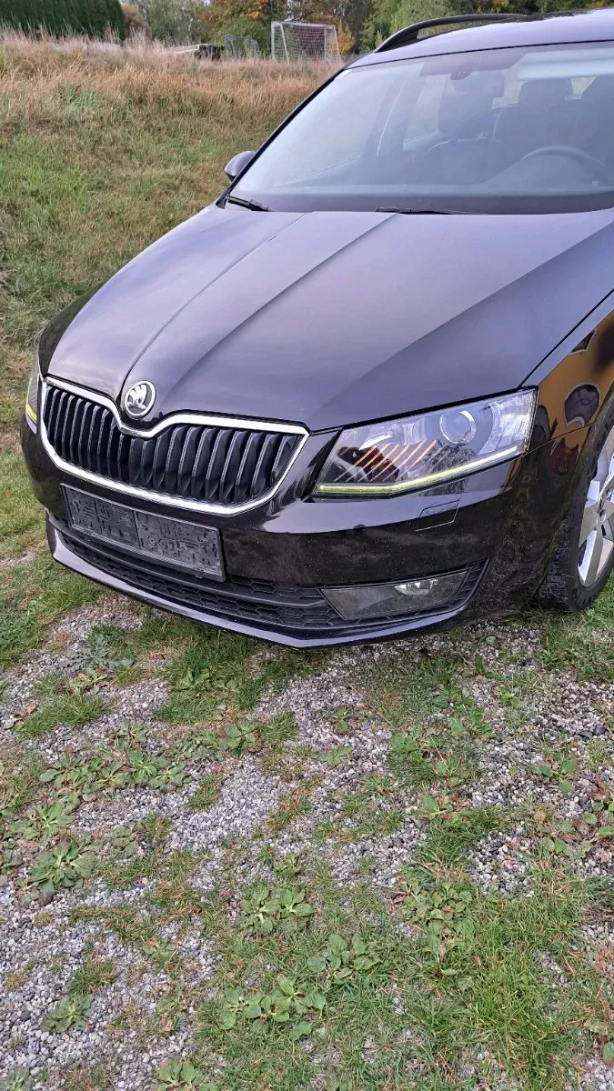 Skoda Octavia 2014 photo 2