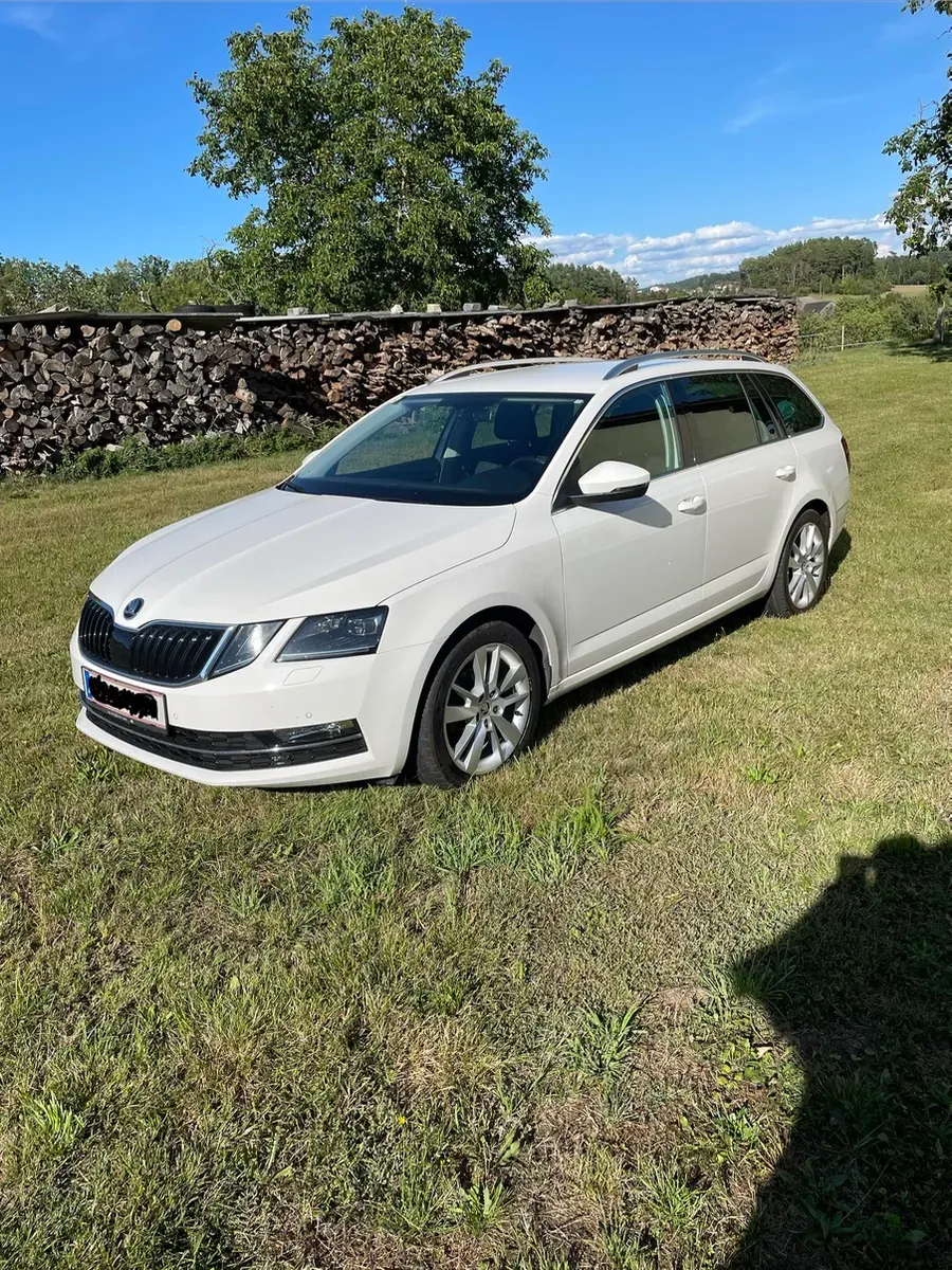 Skoda Octavia 2019 photo 2