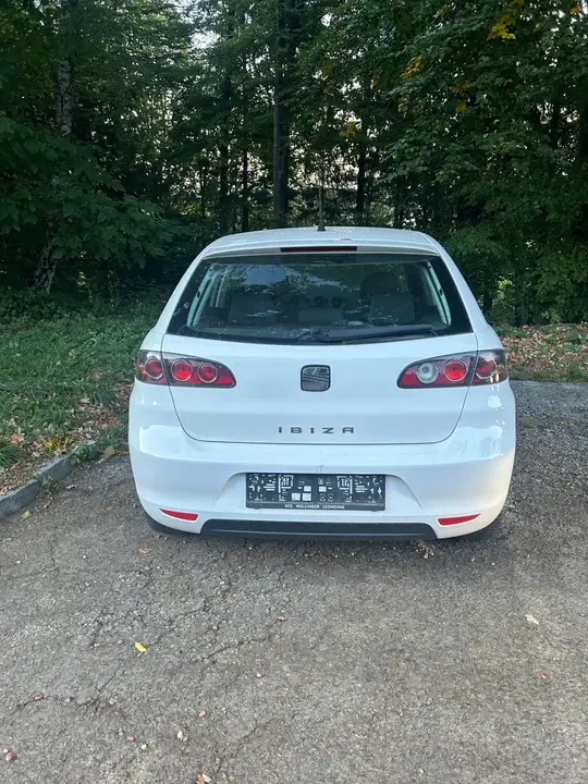 Seat Ibiza 2009 photo 2