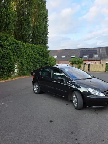 Peugeot 307