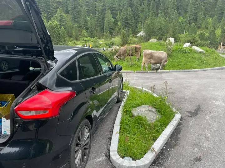 Ford Focus 2018 photo 2