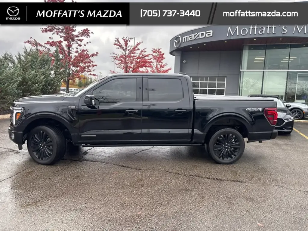 Ford F-150 2025 photo 2