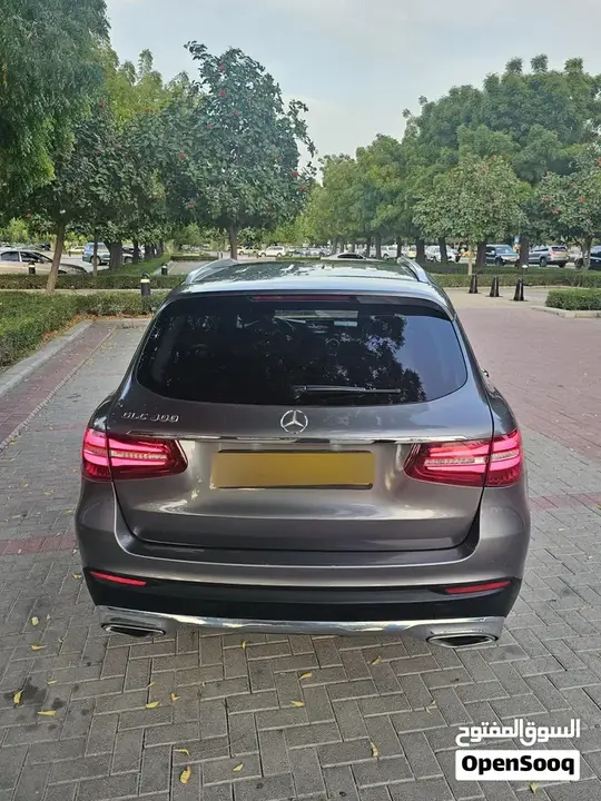 Mercedes-Benz Glc 300 2019 photo 3