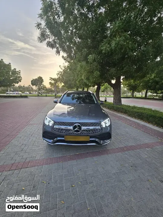Mercedes-Benz Glc 300 2019 photo 4