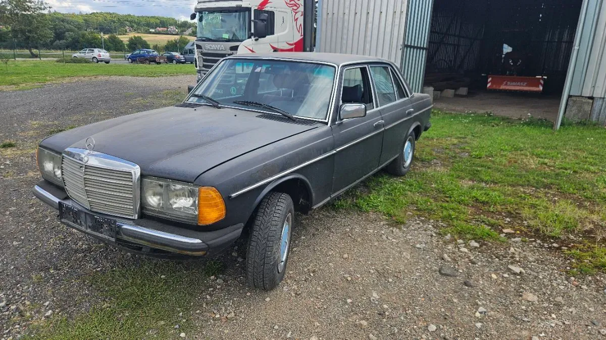 Mercedes-Benz Eklasse 1982 photo 2