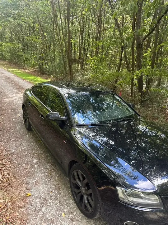 Audi A5 2010 photo 2