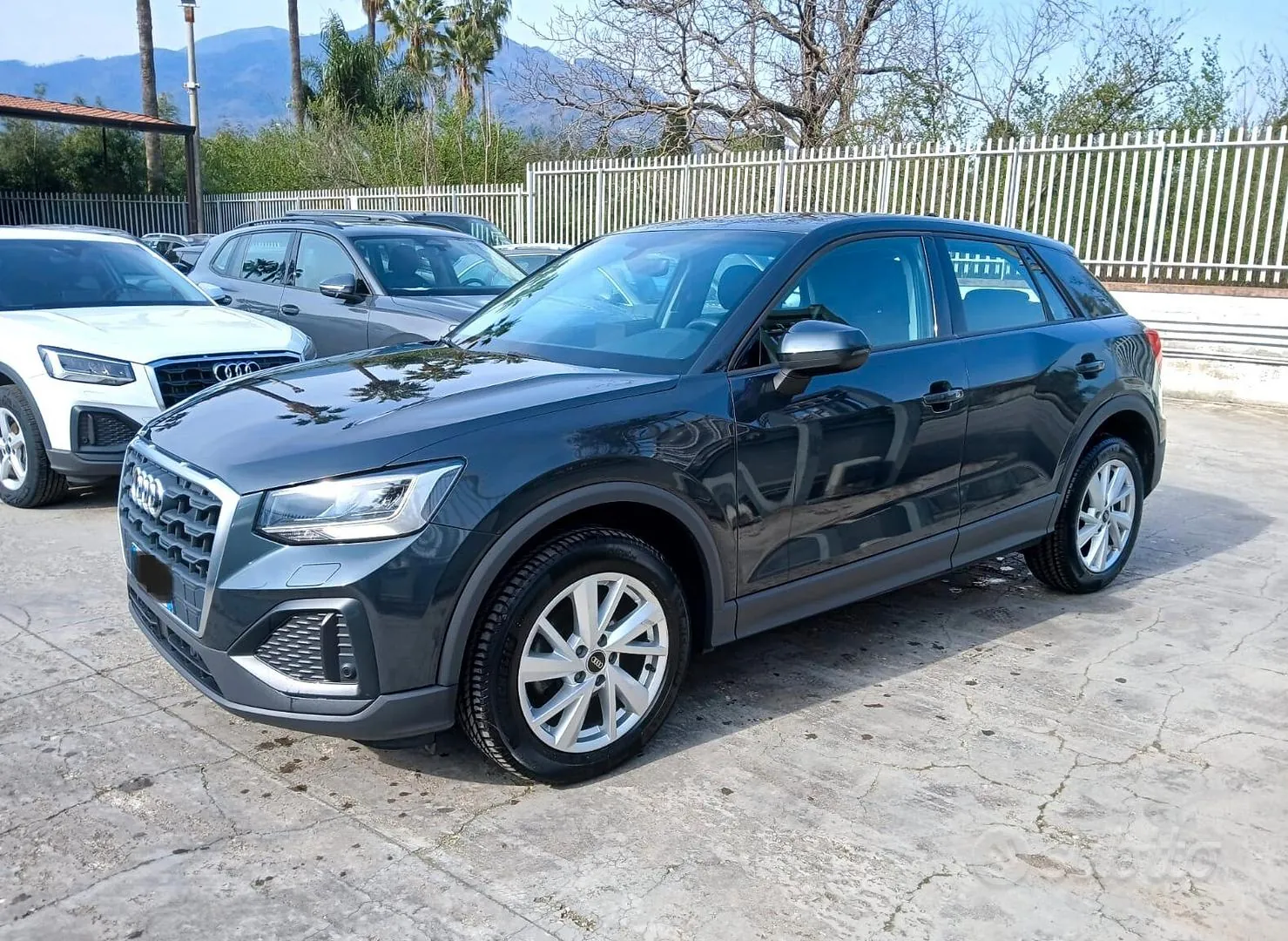 Audi Q2 2022 photo 3