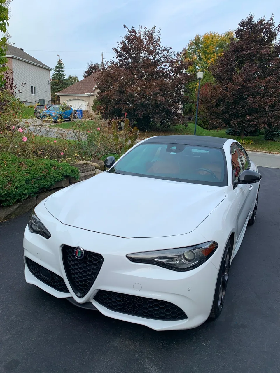 Alfa Romeo Giulia 2021 photo 2