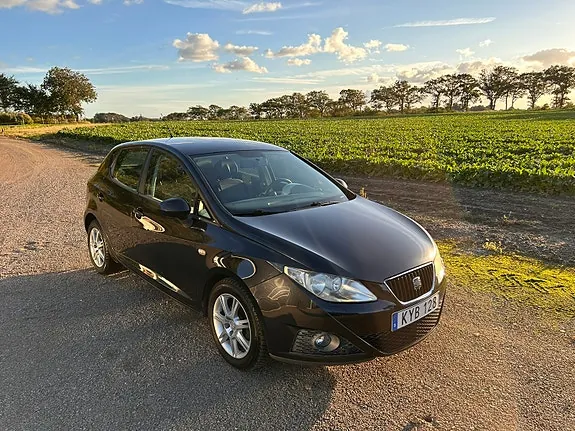 Seat Ibiza 2010 photo 2