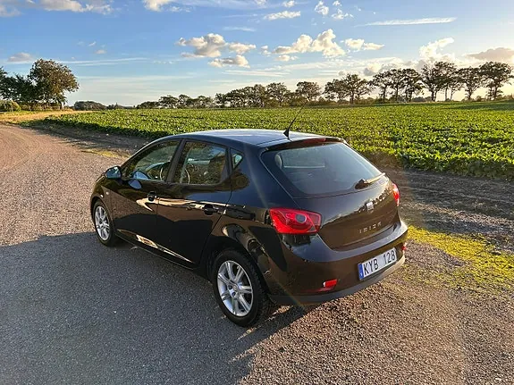 Seat Ibiza 2010 photo 4