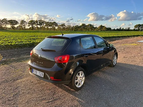 Seat Ibiza 2010 photo 3