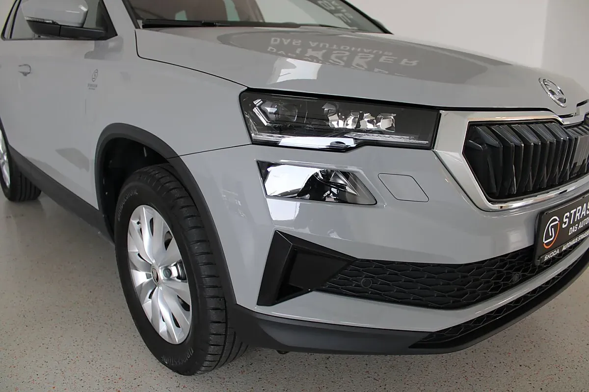 Skoda Karoq 2024 photo 2
