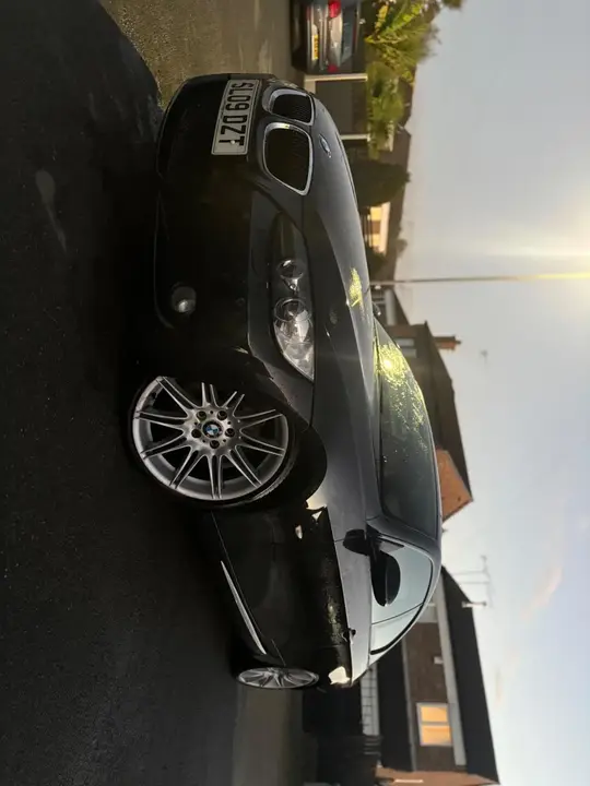 BMW 3 Series 2009 photo 5
