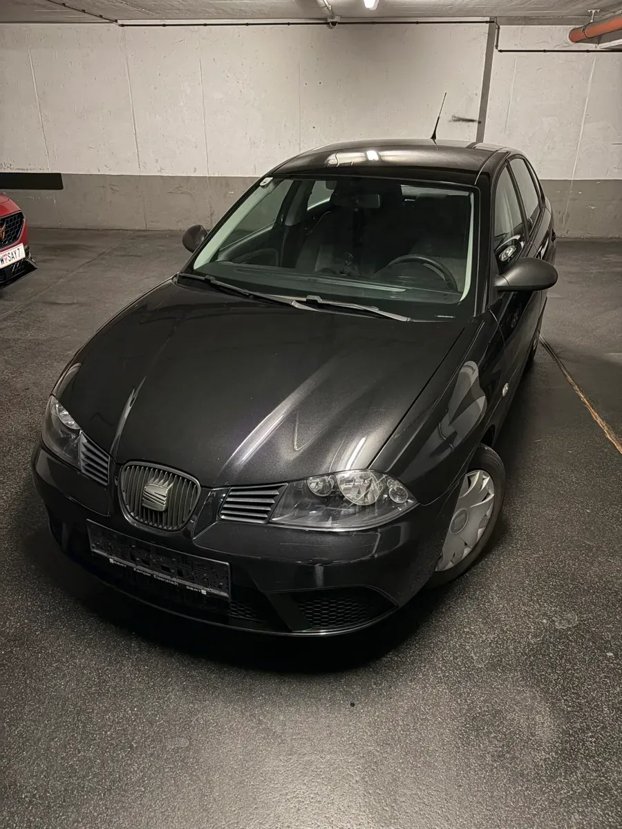 Seat Ibiza 2009 photo 2