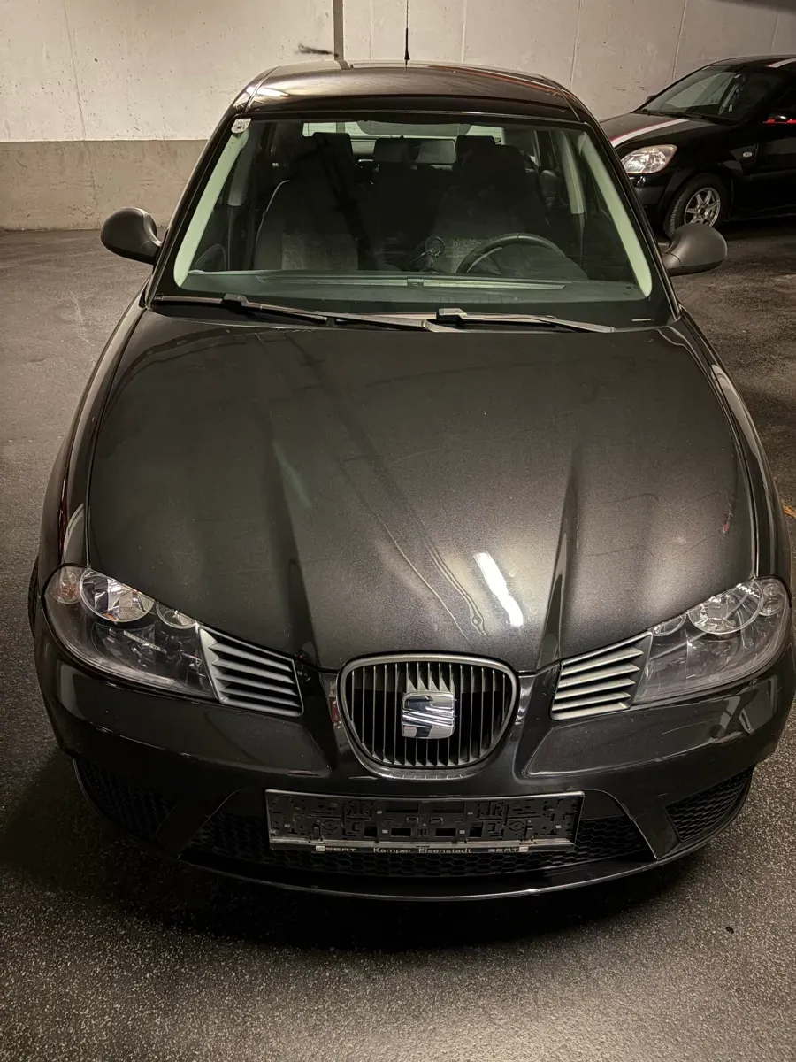 Seat Ibiza 2009 photo 3