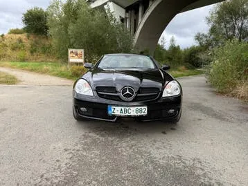 Mercedes-Benz Slk 2009 photo 2