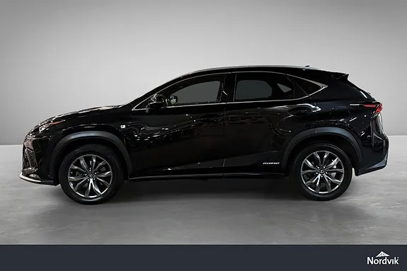 Lexus Nx300H 2019 photo 4